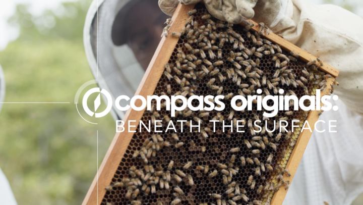 Beneath The Surface – Reagans Honey